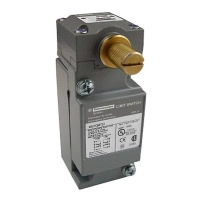 LIMIT SWITCH 600V 10AMP C+OPTIONS
