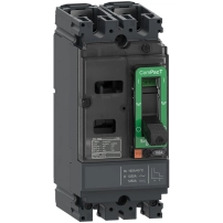 SCHNEIDER ELECTRIC Circuit breaker, ComPacT NSX100F AC/DC, 18kA/415VAC, 2P, TMD trip unit 100A