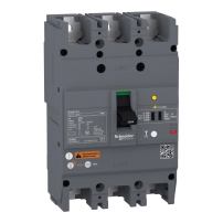Автоматичен прекъсвач Easypact EZCV250N - TMD - 175 A - 3 полюса