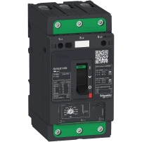 TeSys GV4 - магнитна  моторна Защита - 50A 3P - с EverLink