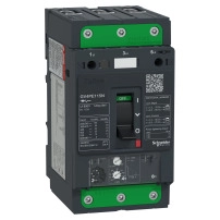 TeSys GV4 - термомагнитна  моторна Защита - 115A 3P - с Everlink
