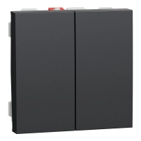 Сериен ключ Double one-way switch 10A 2 modules, антрацит