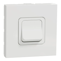 Двуполюсен ключ 2 poles switch 20A screws 2modules