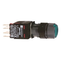 Ill PB metal green flush 12V 1NO