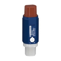 PHOTO CYL PLAS ANG TB RE PNP M12 24V
